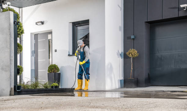 Best Roof Cleaning and Mildew Removal in Fortuna, CA
